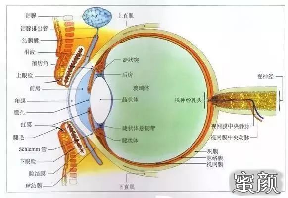 https://img.yiyiaimei.com/mnt/timg/200429/15224244a-4.jpg