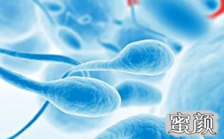案例图片