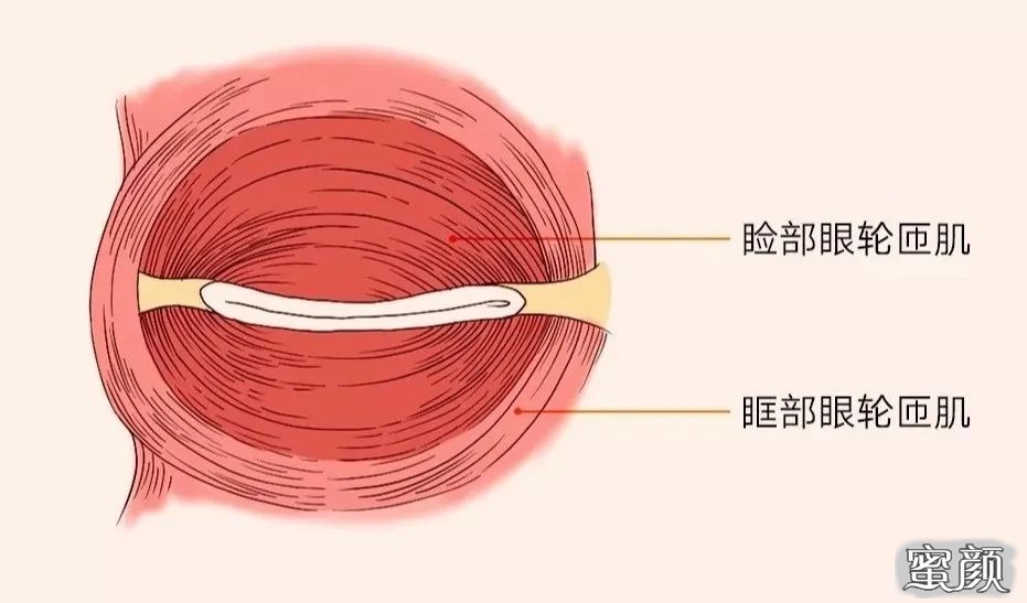 案例图片