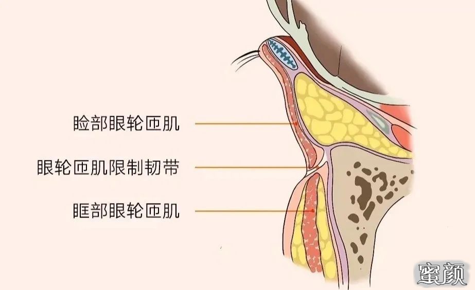 案例图片