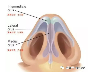 案例图片