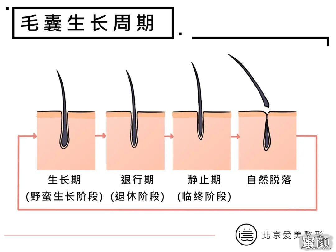 案例图片