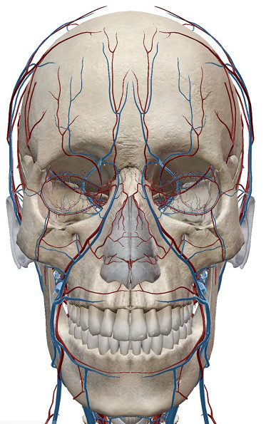 https://img.yiyiaimei.com/mnt/timg/200505/14114TA7-4.jpg 案例图片