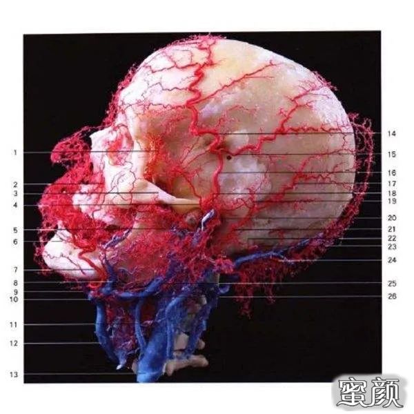 https://img.yiyiaimei.com/mnt/timg/200505/14114U0A-5.jpg 案例图片