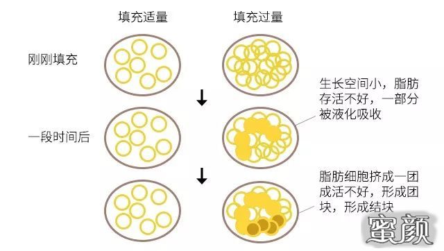 案例图片