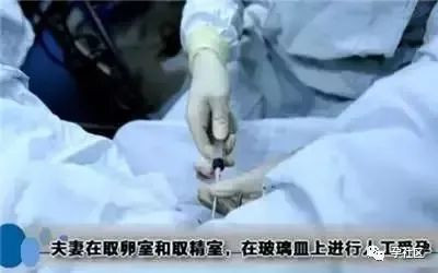 案例图片