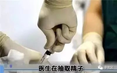 案例图片