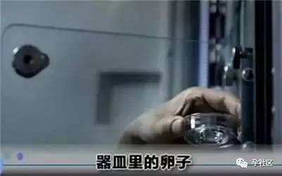 案例图片