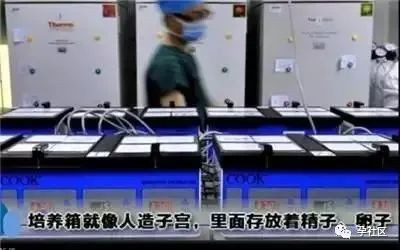 案例图片