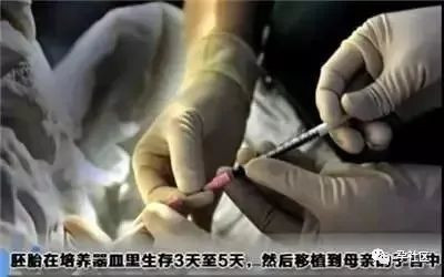 案例图片