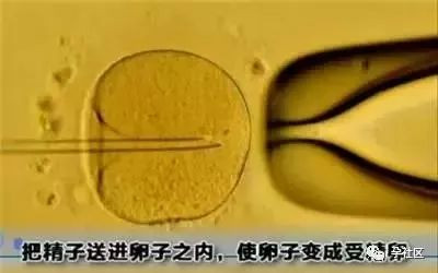 案例图片