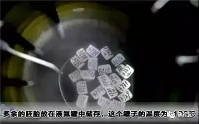 案例图片
