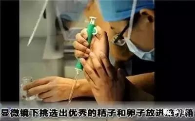 案例图片