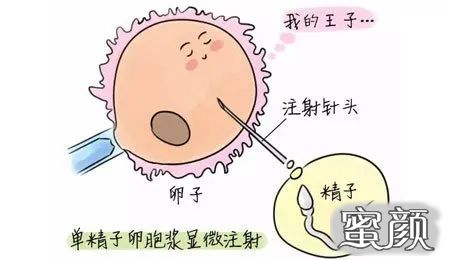 案例图片