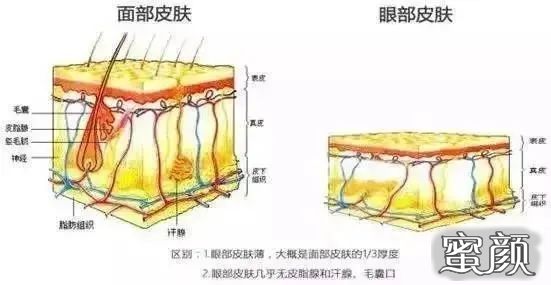 案例图片