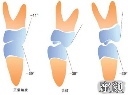 案例图片