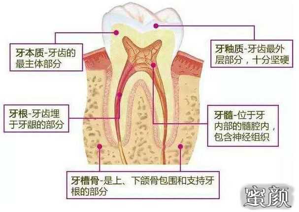 案例图片