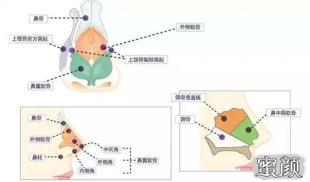 案例图片