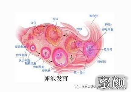 案例图片