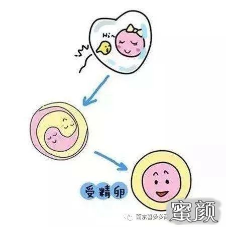 案例图片