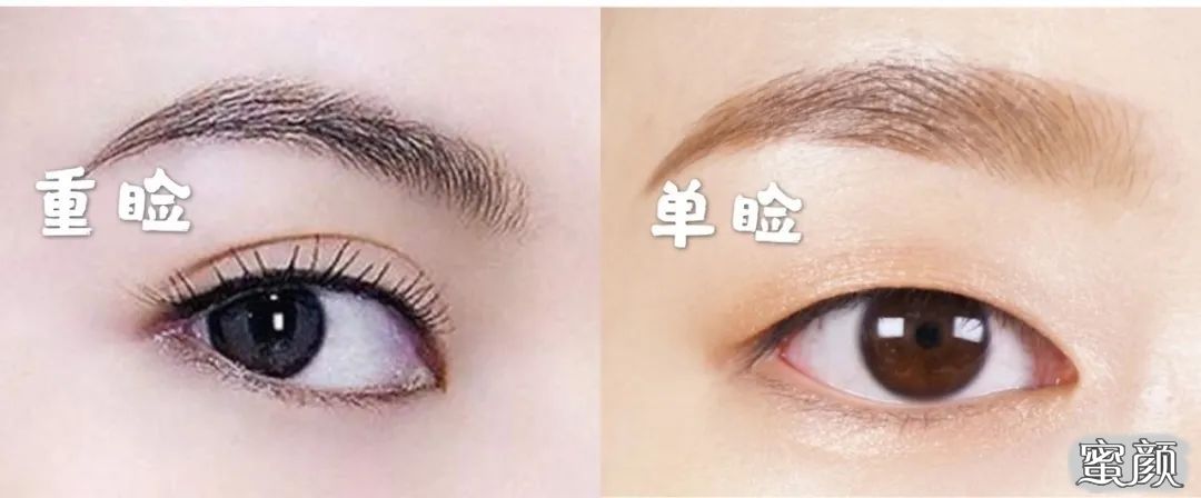 案例图片