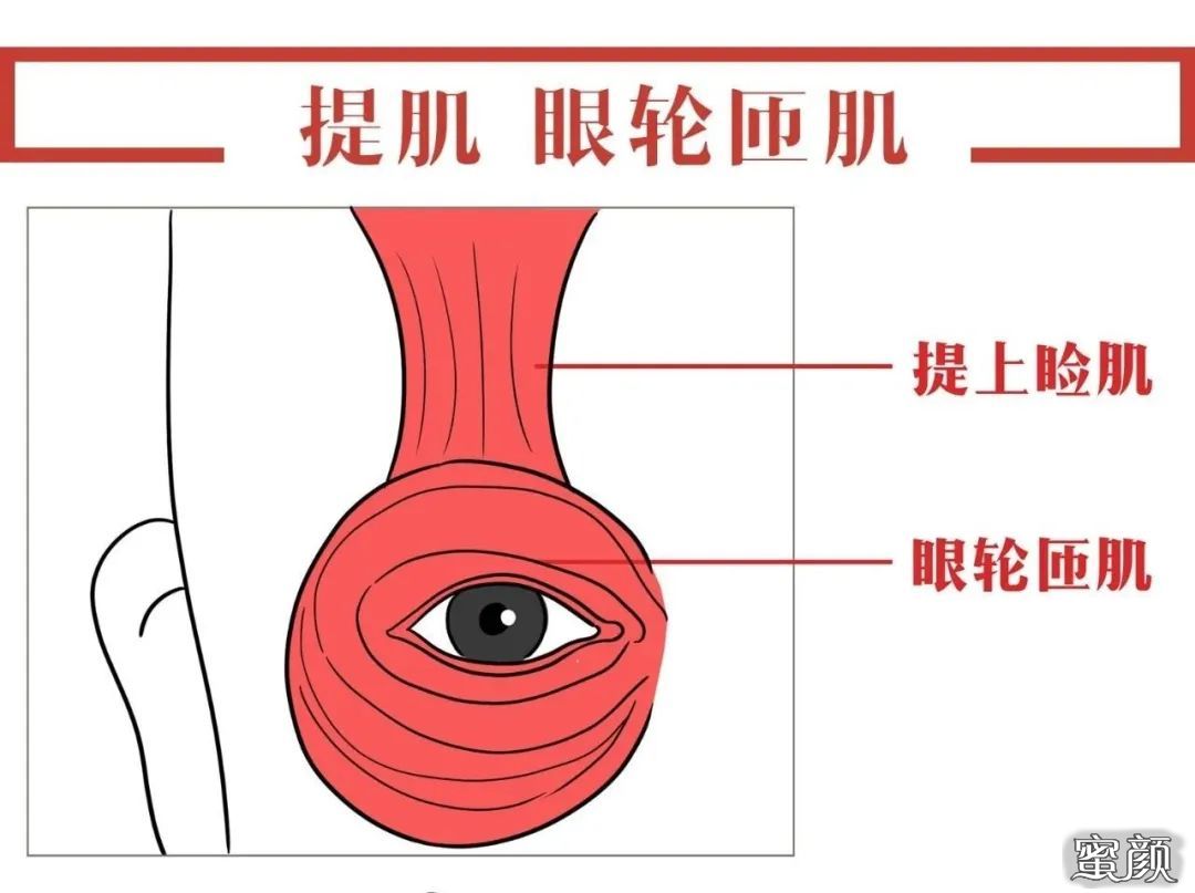 案例图片