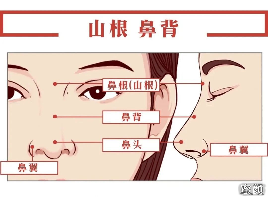 案例图片