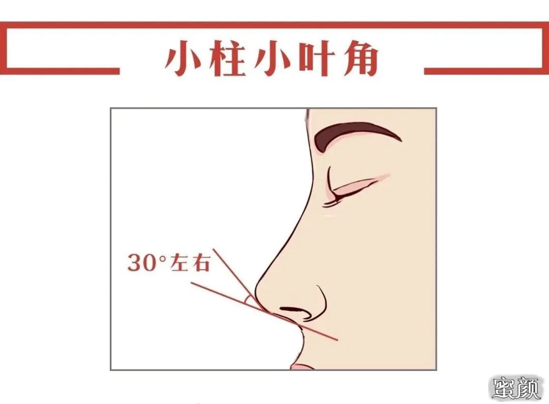 案例图片