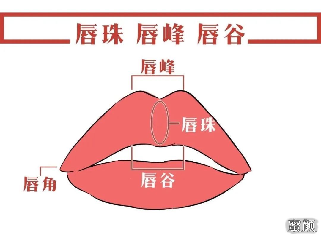 案例图片