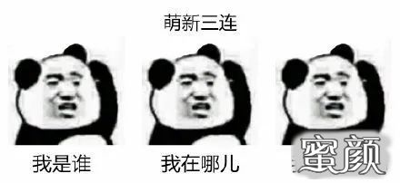 案例图片