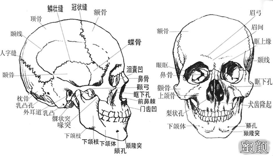 案例图片