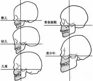 案例图片