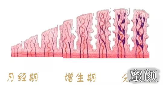 https://img.yiyiaimei.com/mnt/timg/200510/12233QH8-1.jpg 案例图片