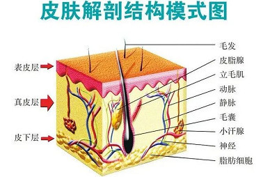 案例图片