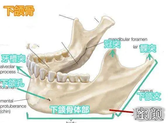 https://img.yiyiaimei.com/mnt/timg/200511/16200125C-8.jpg