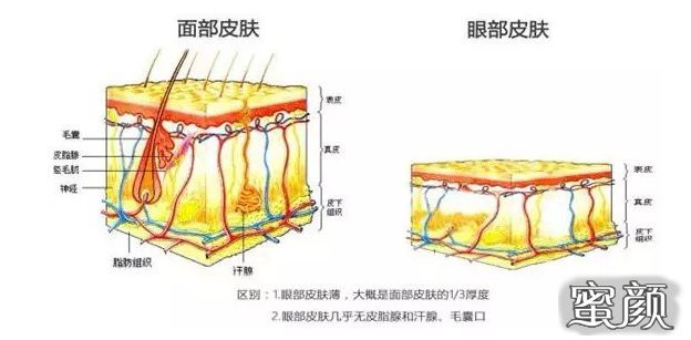 案例图片