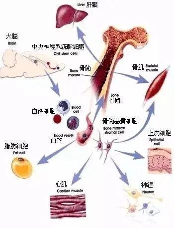 案例图片