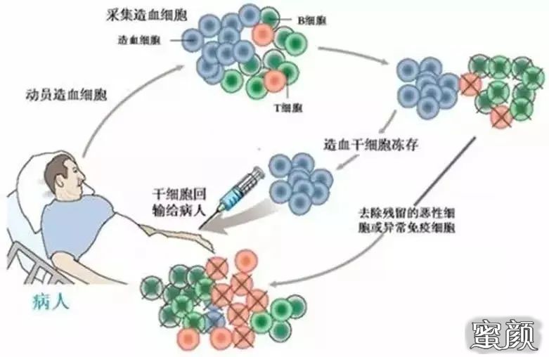 案例图片