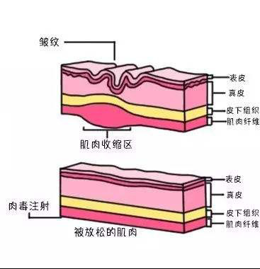 案例图片