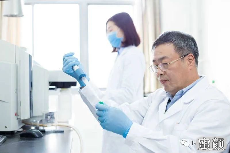 案例图片