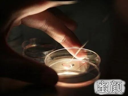 案例图片