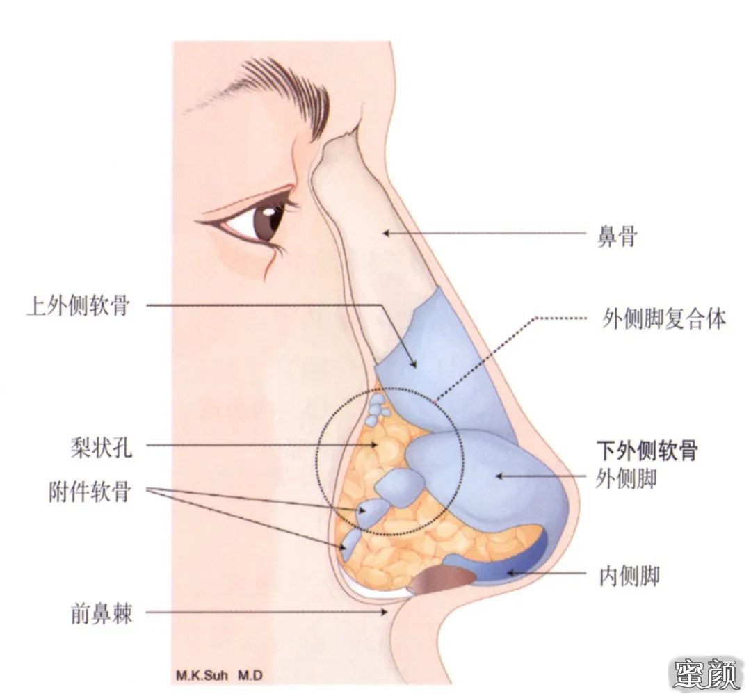 案例图片