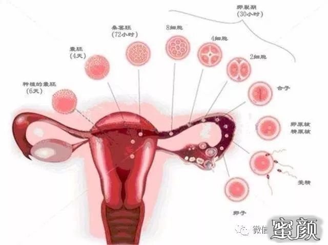 案例图片