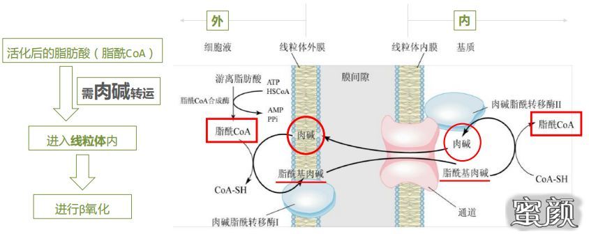 案例图片