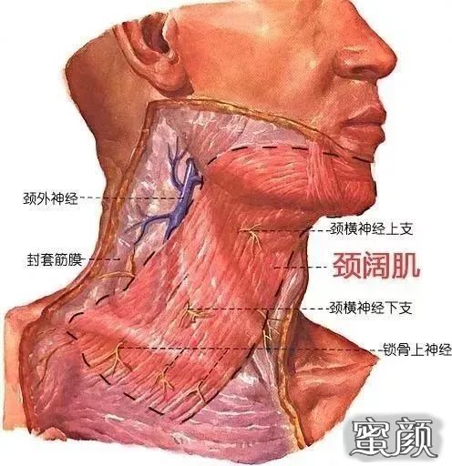 案例图片