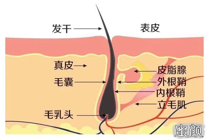 案例图片