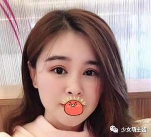 案例图片