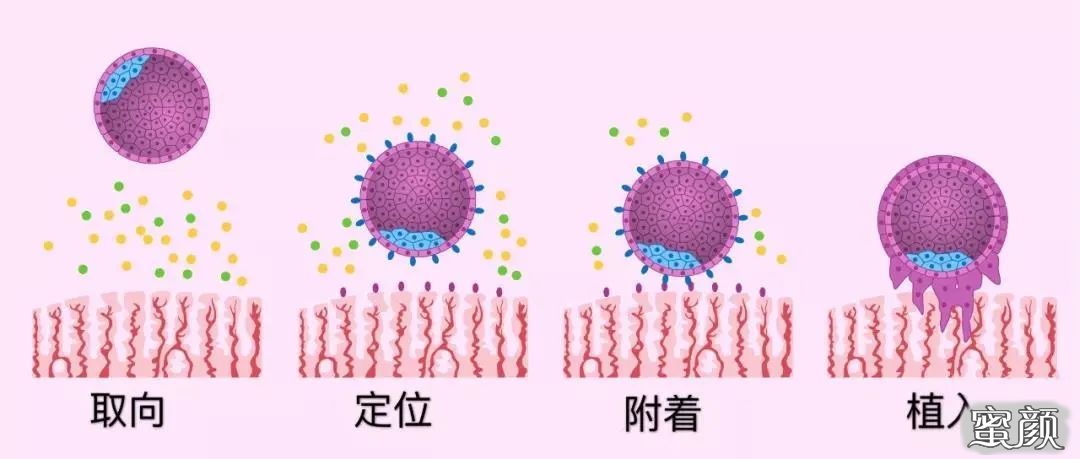 案例图片