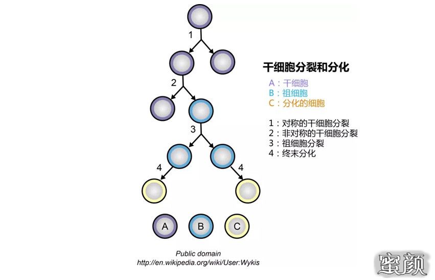 案例图片