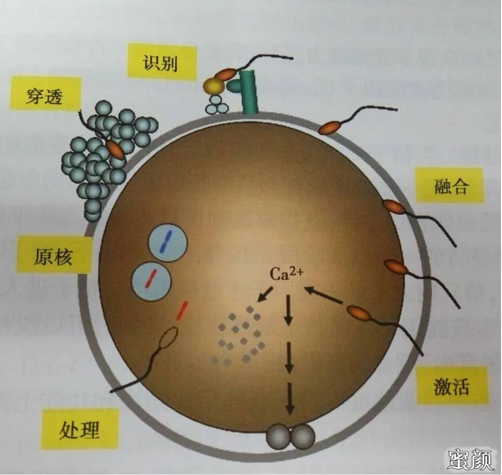 案例图片
